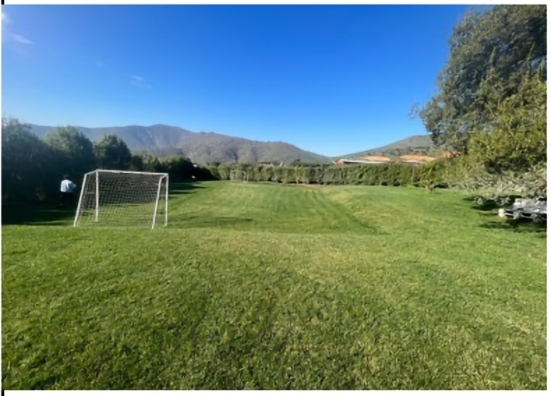 10. Cancha (3).jpg