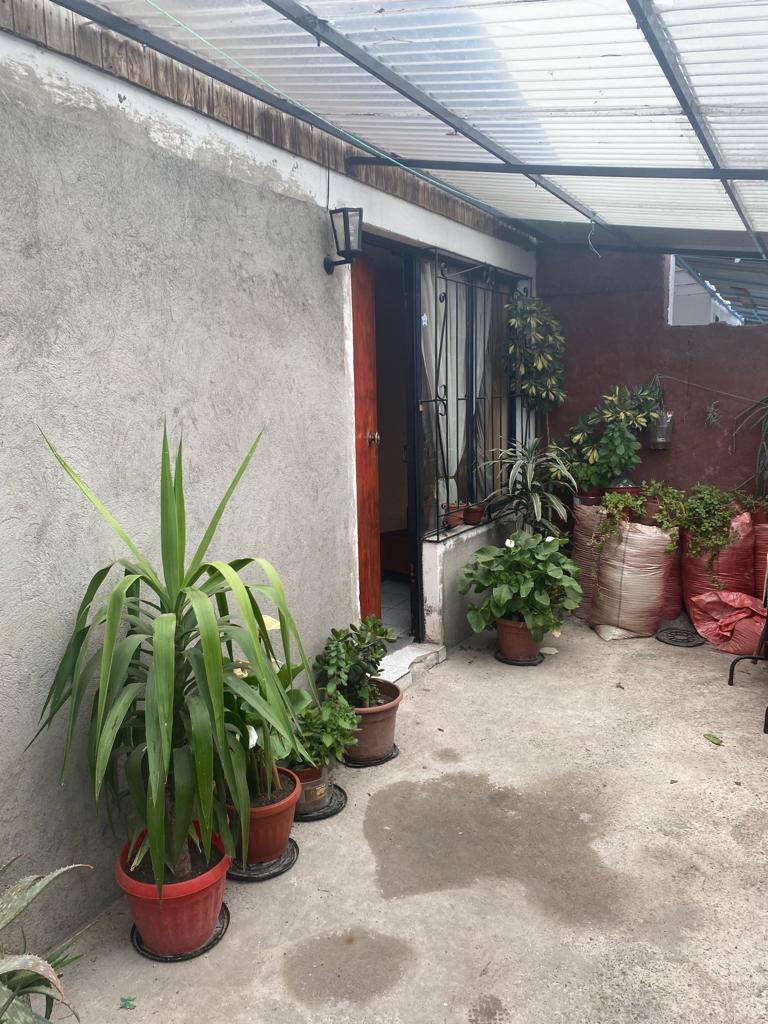 2. Antejardín (2).jpg