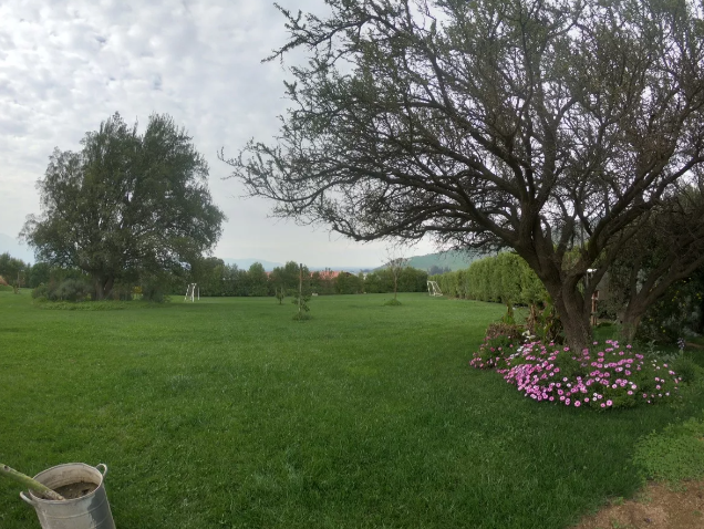 7. Cancha - Jardín.png